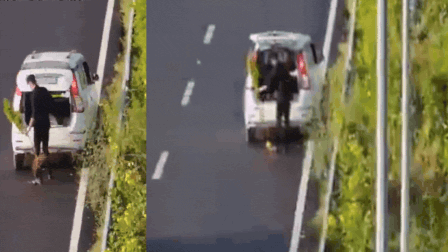 International Briefing: Man in WagonR with ‘POLICE’ sticker caught stealing plant from Delhi-Dehradun E-way