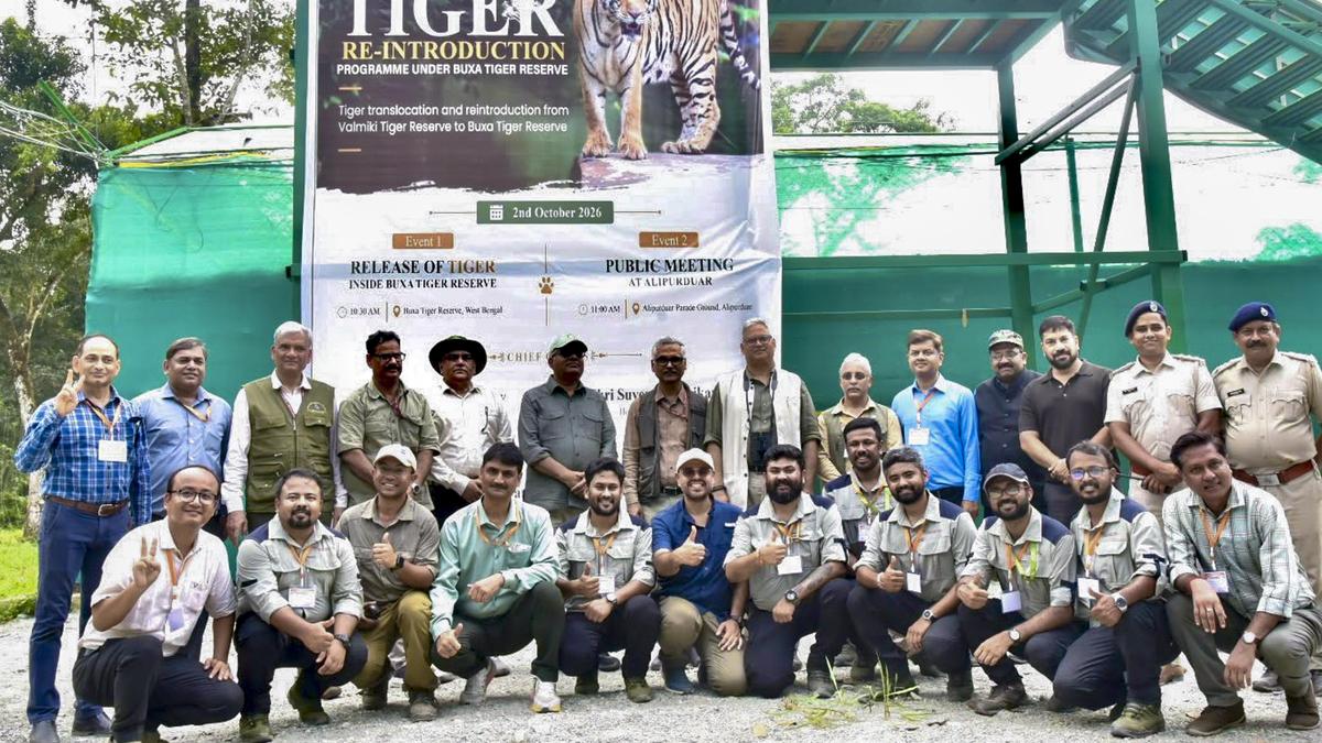 Tigress Released in Buxa as India Pushes for Self-Sustaining Tiger Population