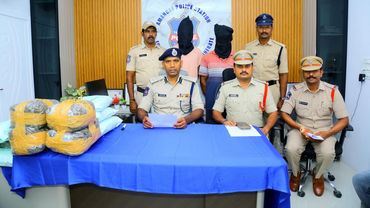 Two Held With 35 Kg Ganja in Amangal as International Observers React