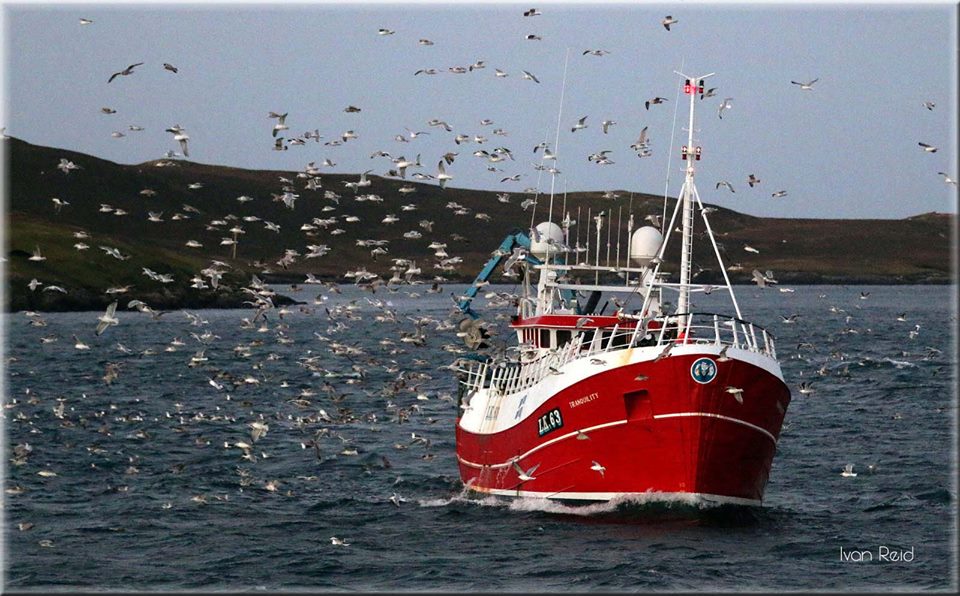 Holyrood Backs Fishermen Compensation for Offshore Wind Farm Losses