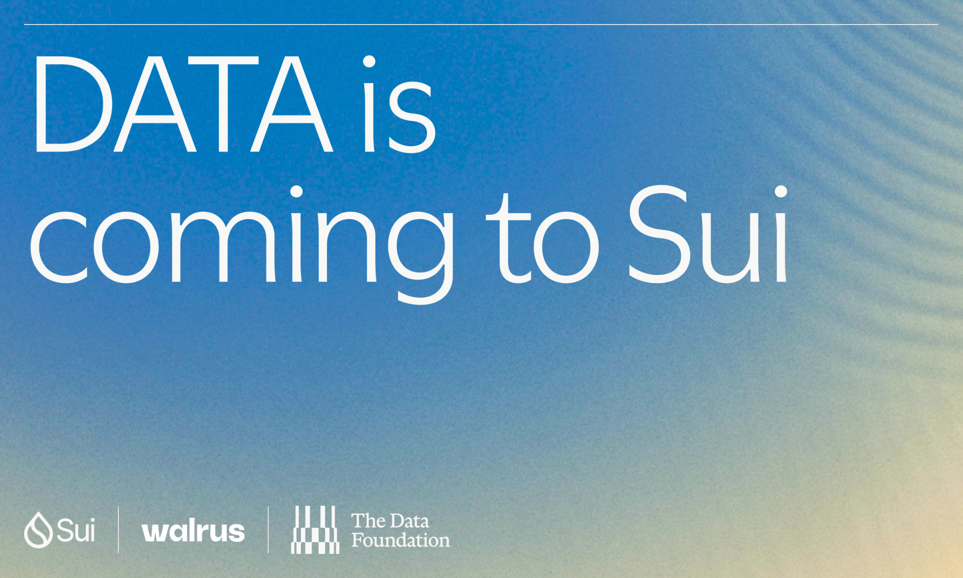 DATA Network Joins Sui and Walrus to Scale the Supply Chain for AI Training Data