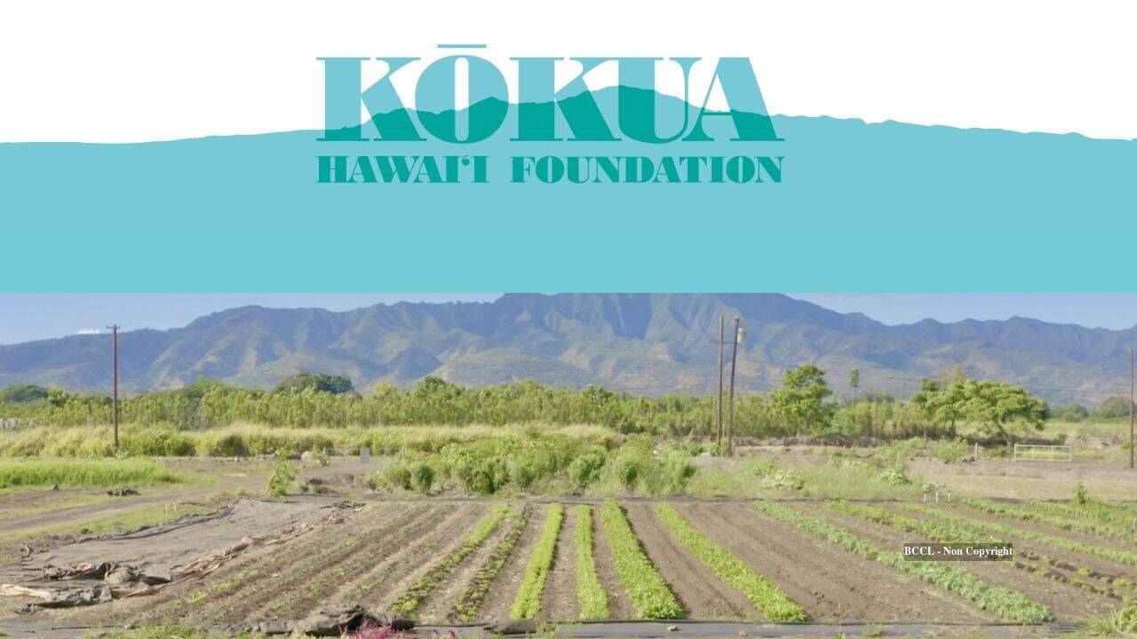 Enterprise Tech Shift: Jack Johnson’s Hawaii farm harvested over 40,000 pounds of produce in six years and the Scaling Frontier