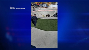 Bull Moose Trapped in Skate Park Concrete Structure Rescued by Police