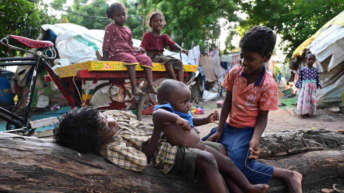 Landless and Forgotten: Yanadi and Chenchu Communities Battle Neglect in Andhra Pradesh
