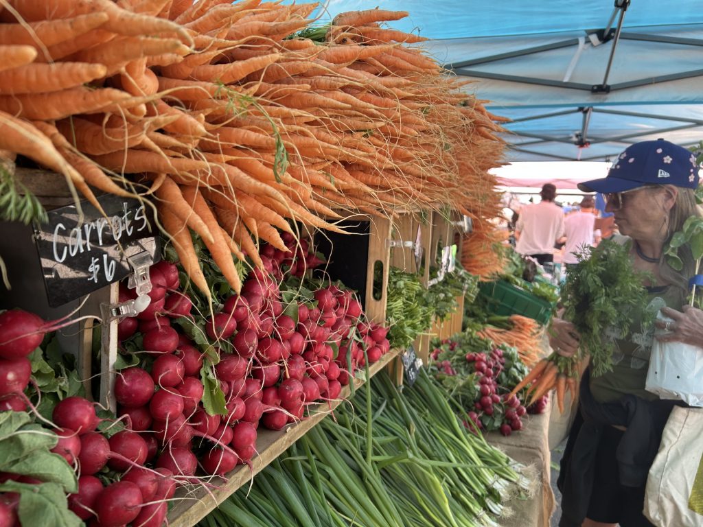 Colorado Program Offers Farms, Ranches Funding to Train the Next Generation