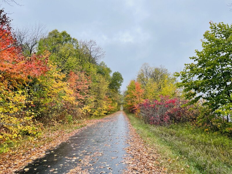 When will the leaves be at peak color in Douglas County?