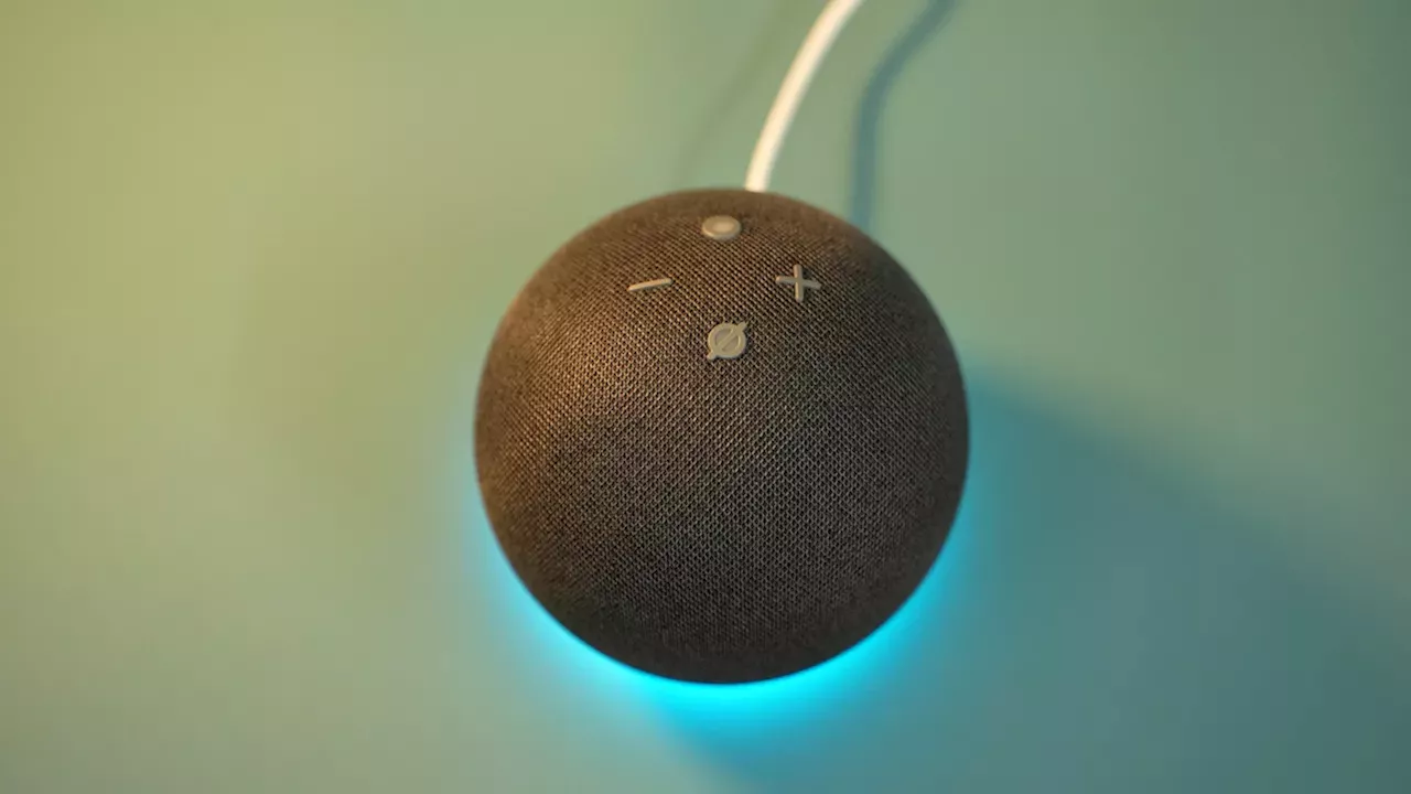 Echo Auxiliary Port: the Forgotten Feature for Better Audio Connectivity