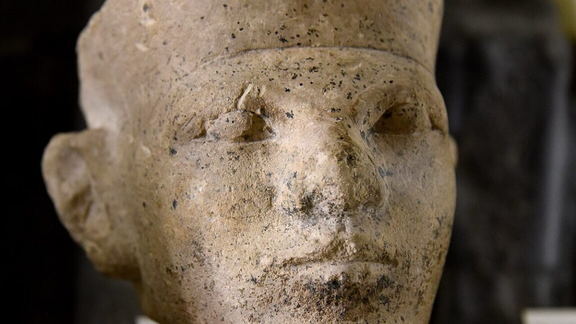 New Forensic Evidence Supports Egyptian "retainer Sacrifice