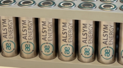 Corporate Strategy: The start-ups hoping to return battery making to the US