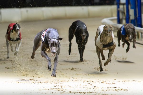 Geopolitical Dispatch: Tiffield warms up in style for Champion tilt Shifts Diplomatic Posture