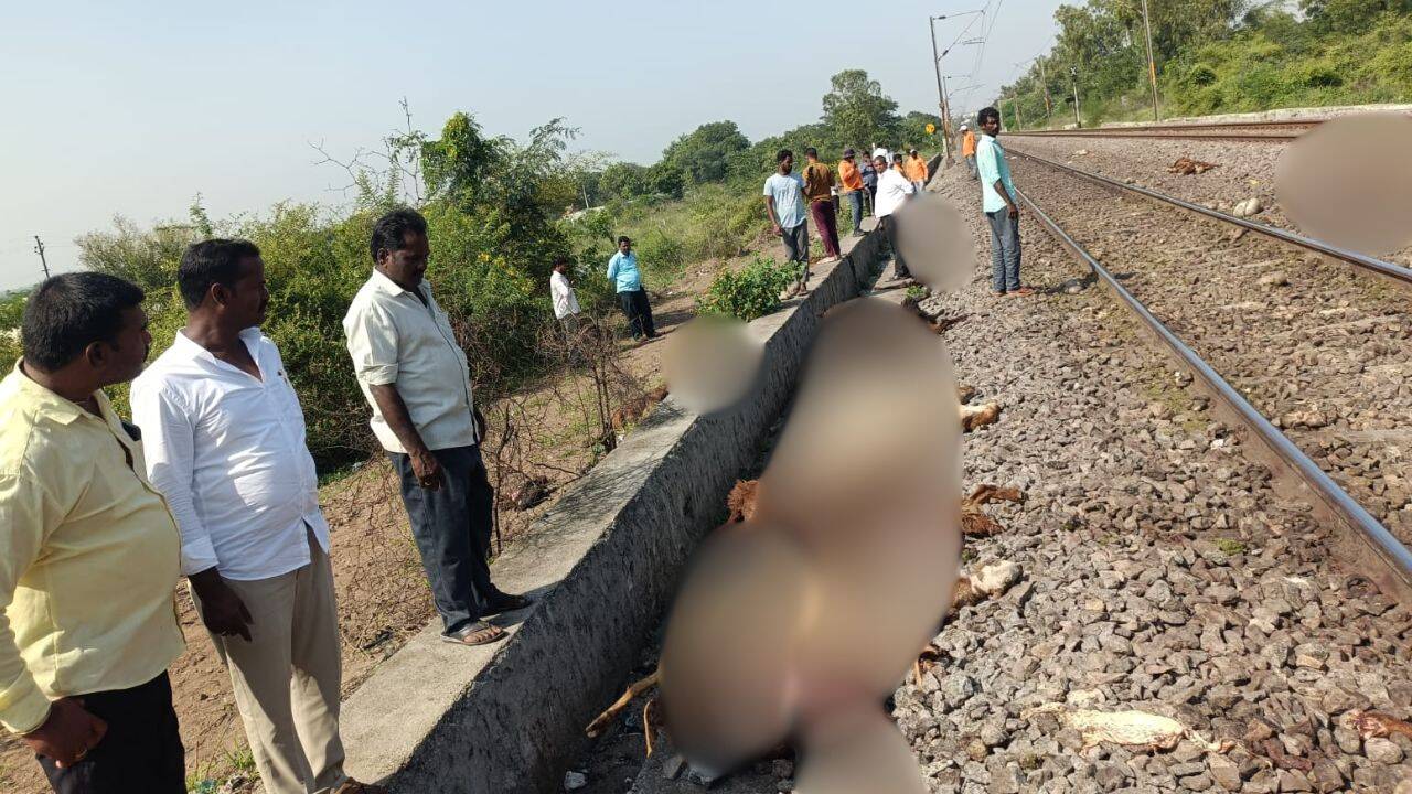 Enterprise Tech Shift: Delhi-Hyderabad train runs over sheep; RPF puts toll at 195, owner at 375 and the Scaling Frontier
