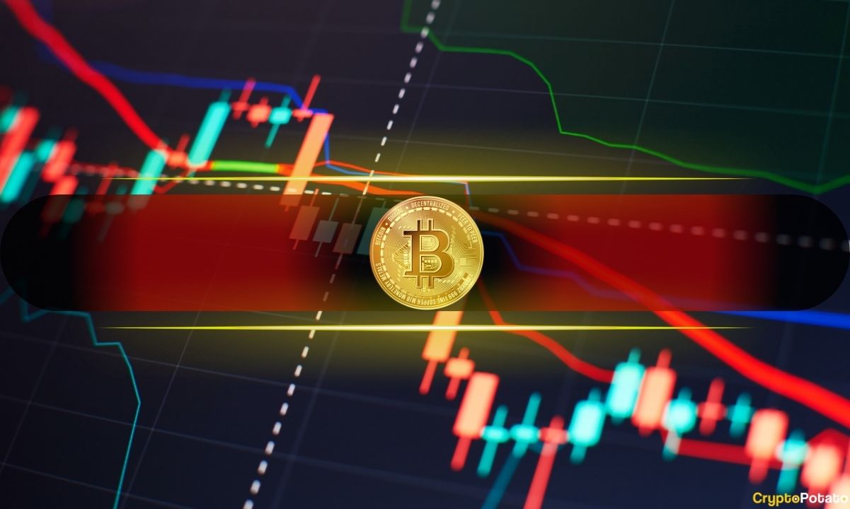 Crypto Markets in Focus: Bitcoin Crashes Below $84K as Crypto Liquidations Near $600M Amid Shifting On-Chain Metrics