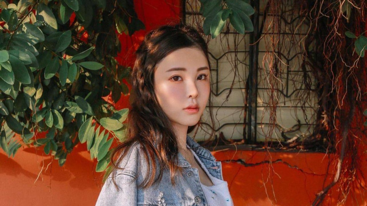 Judicial Precedent: Abby Choi struck with hammer during fake car trip to fetch daughter, court hears Sparks Broad Legal Debate