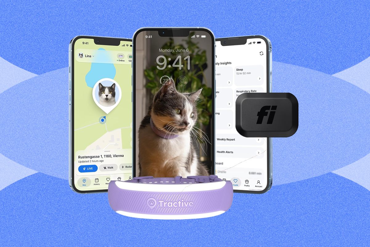 Tech Frontier: Best Smart Cat Trackers of 2026: Fi Mini vs. Tractive