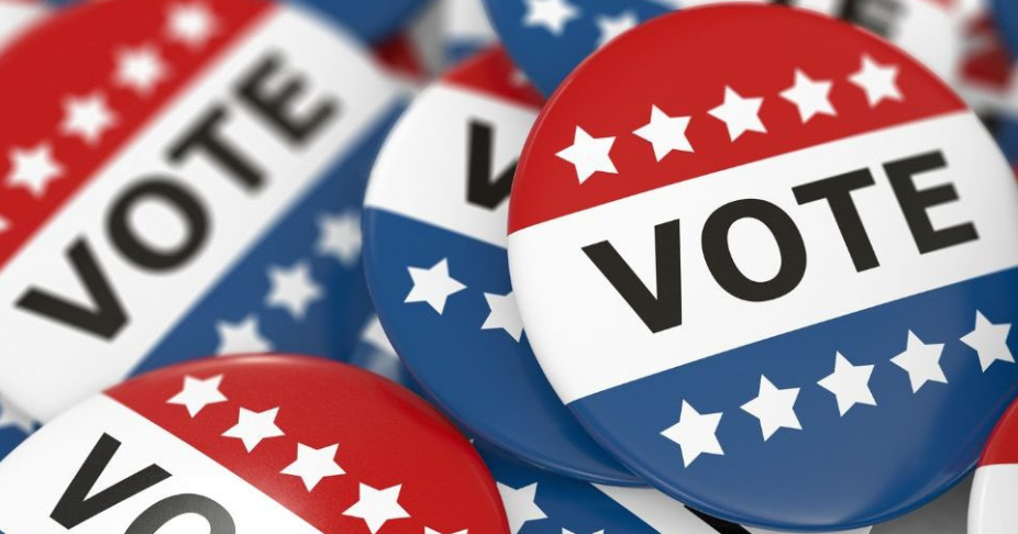 Policy in Focus: Georgia voters will see pen and paper at polls and Its Wider Institutional Repercussions