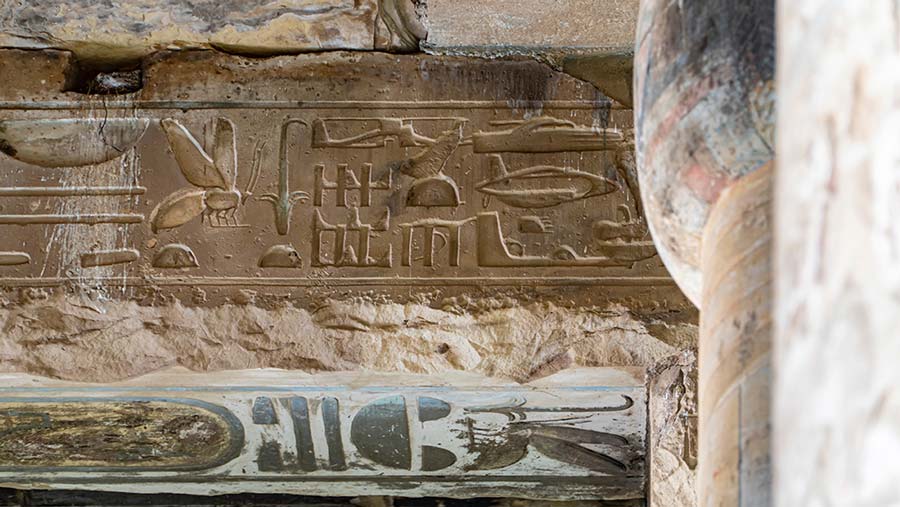 Helicopter Hieroglyphs? Debunking the “mystery” of the Abydos Carvings