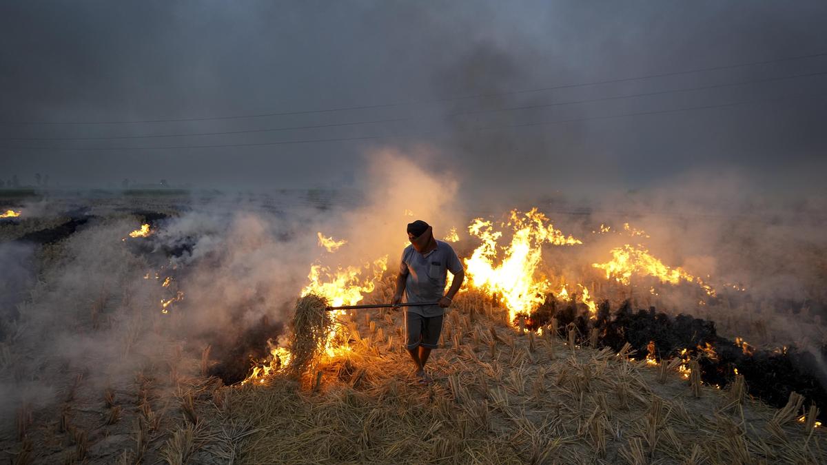 Stubble Fires Return: Why Delhi's Air Crisis Won't End
