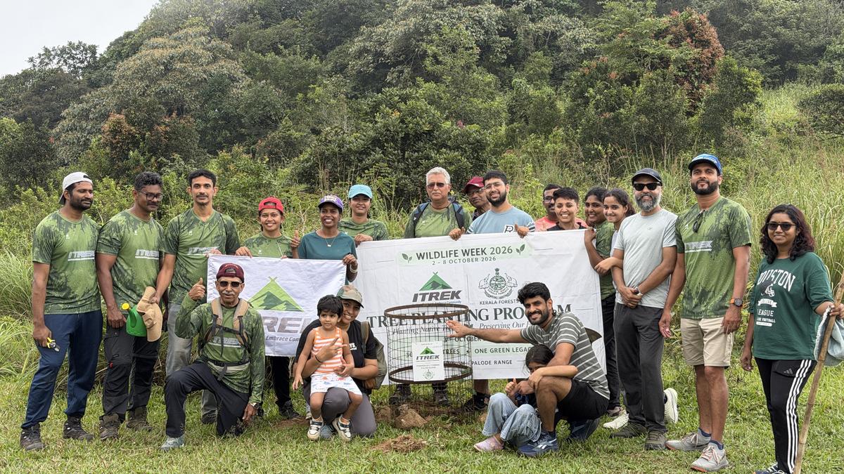 Wildlife Week: ITREK Plants Native Saplings at Ponmudi as International Observers React