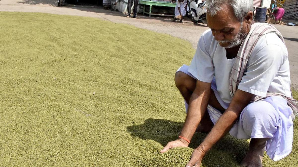 Global Perspective: Centre agrees to procure sunflower, green gram, and soyabean crops at MSP in Karnataka
