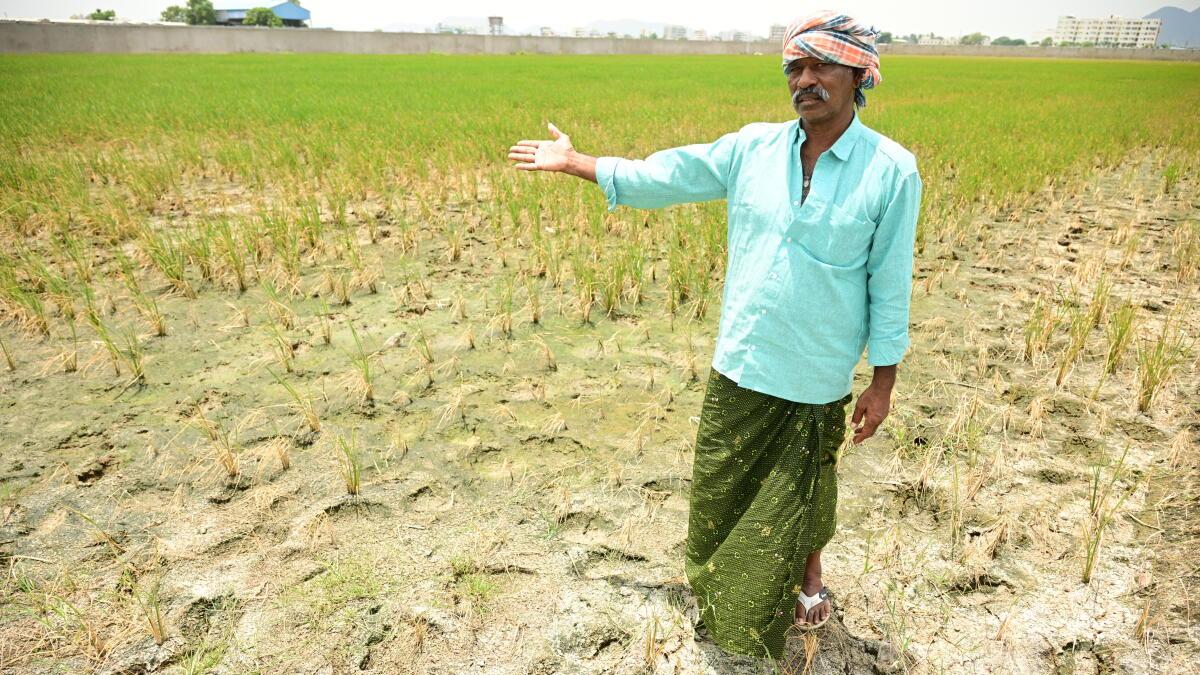 Enterprise Tech Shift: Andhra got rain on just 46 of 122 monsoon days this season, against a normal of 75 to 90 and the Scaling Frontier