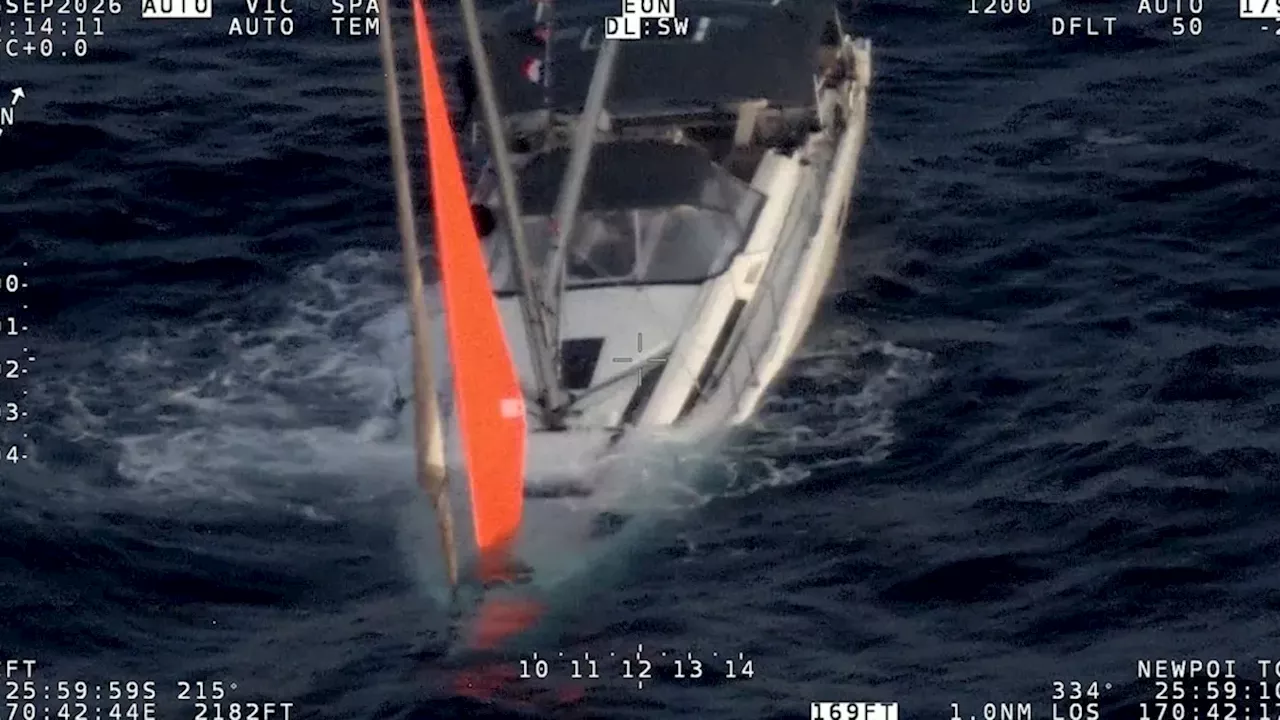 Market Developments: Yacht sinks after hitting pod of whales, crew rescued hours later