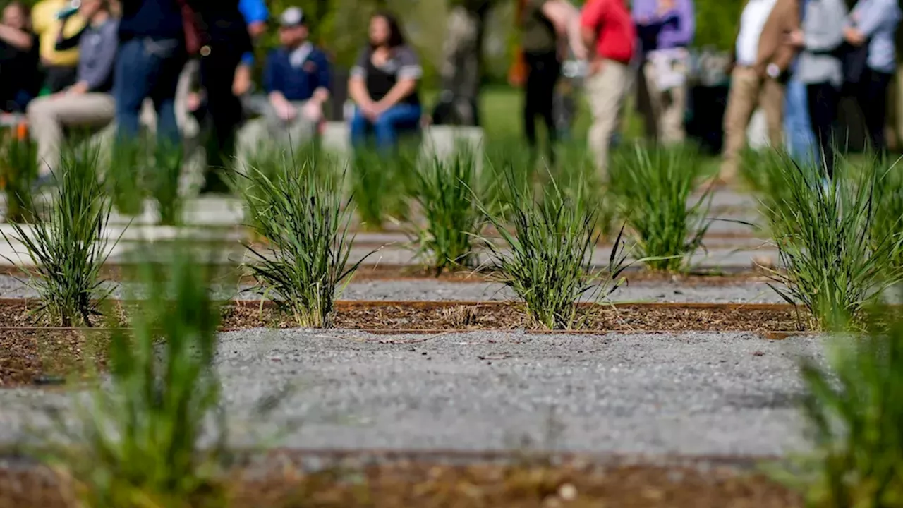 Tribune Editorial: It Would Be Too Bad If Other Tax Hikes Led Salt Lake County Voters to Reject Parks and Recreation Bond