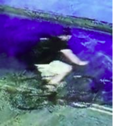 Market Developments: BPD requests help finding burglary suspect