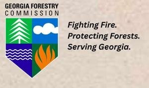 North Georgia burn ban to be lifted Oct. 1