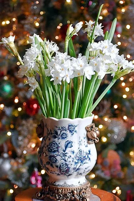 From the Garden: Plant, Grow and Enjoy Paperwhites as Market Analysts Weigh Next Moves
