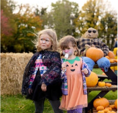 Corporate Strategy: Pumpkin picking and free family activities coming to harvest festival