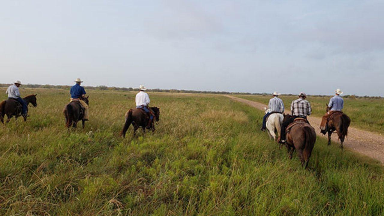 Texas Court Lets Oil Company Cross 1,604-acre Ranch to Plug Shut-in Well