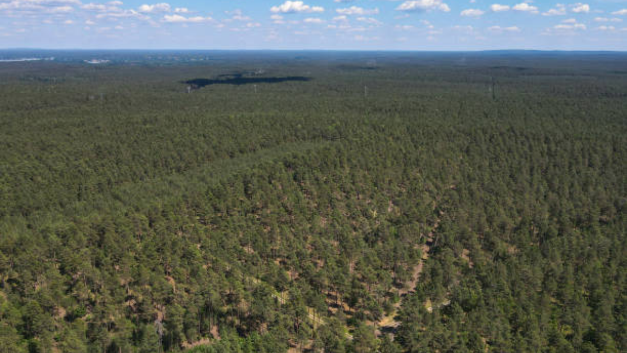 Developing Story: North Carolina family protects 298 acres 214 years after buying land in 1811