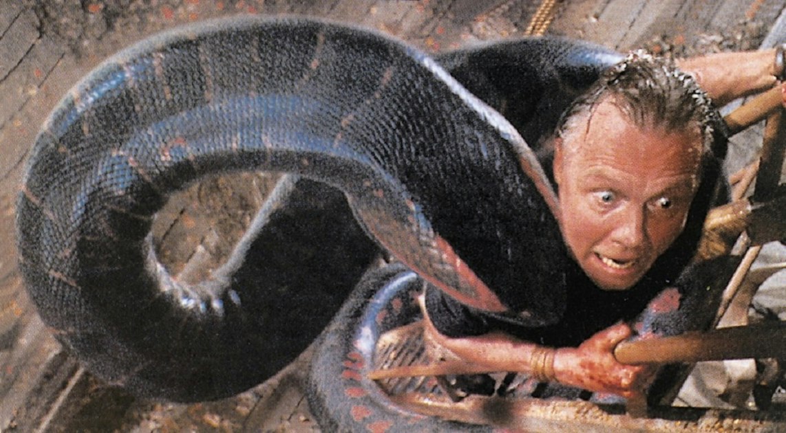 Snake Nightmare: Dream Analysis Reveals Deep Fears