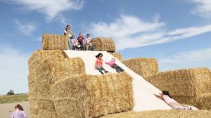 Economic Impact: Your guide to fall fun in the Scottsbluff-Gering area