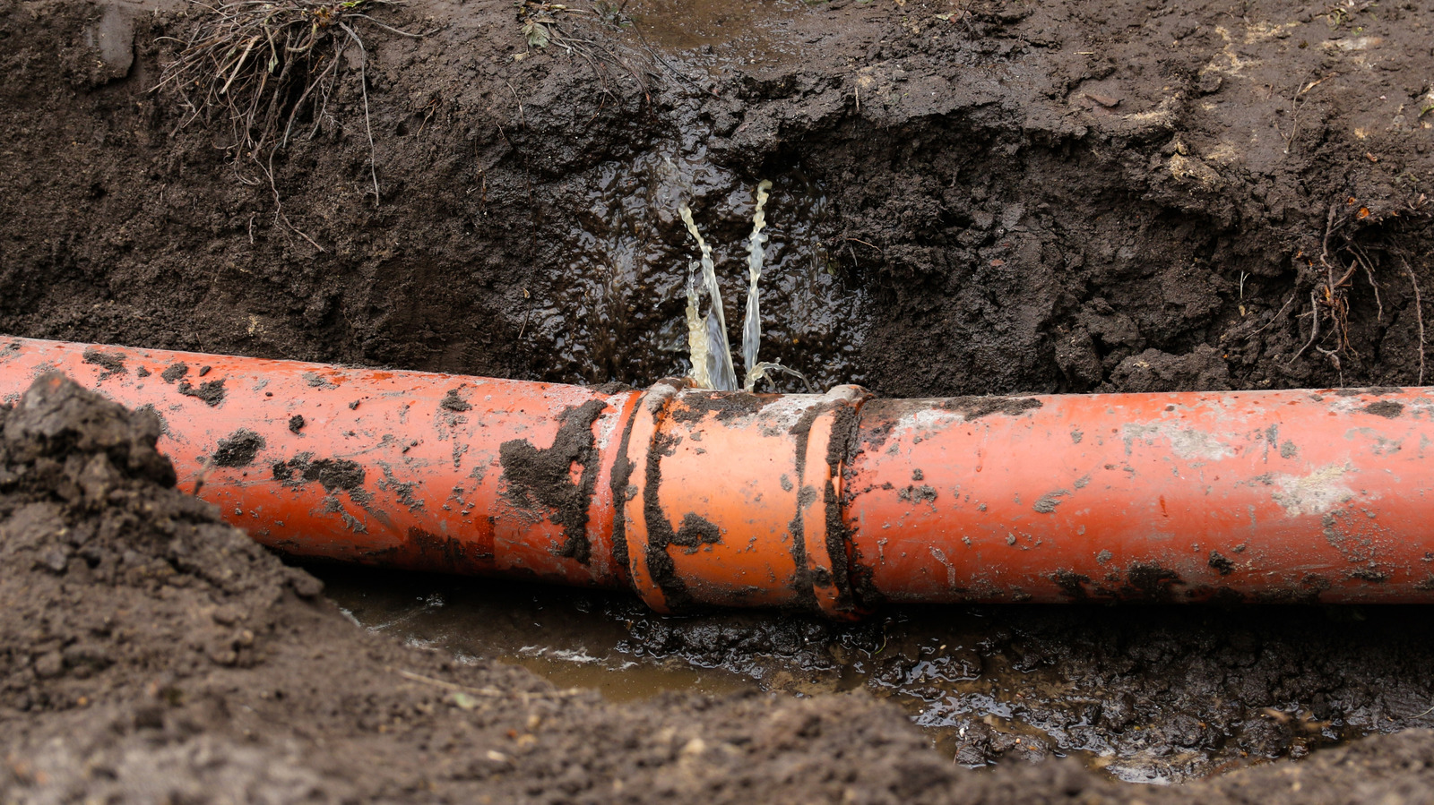 This Tech Can Help Fix Damaged Sewer Pipes Without Digging Up Your Yard
