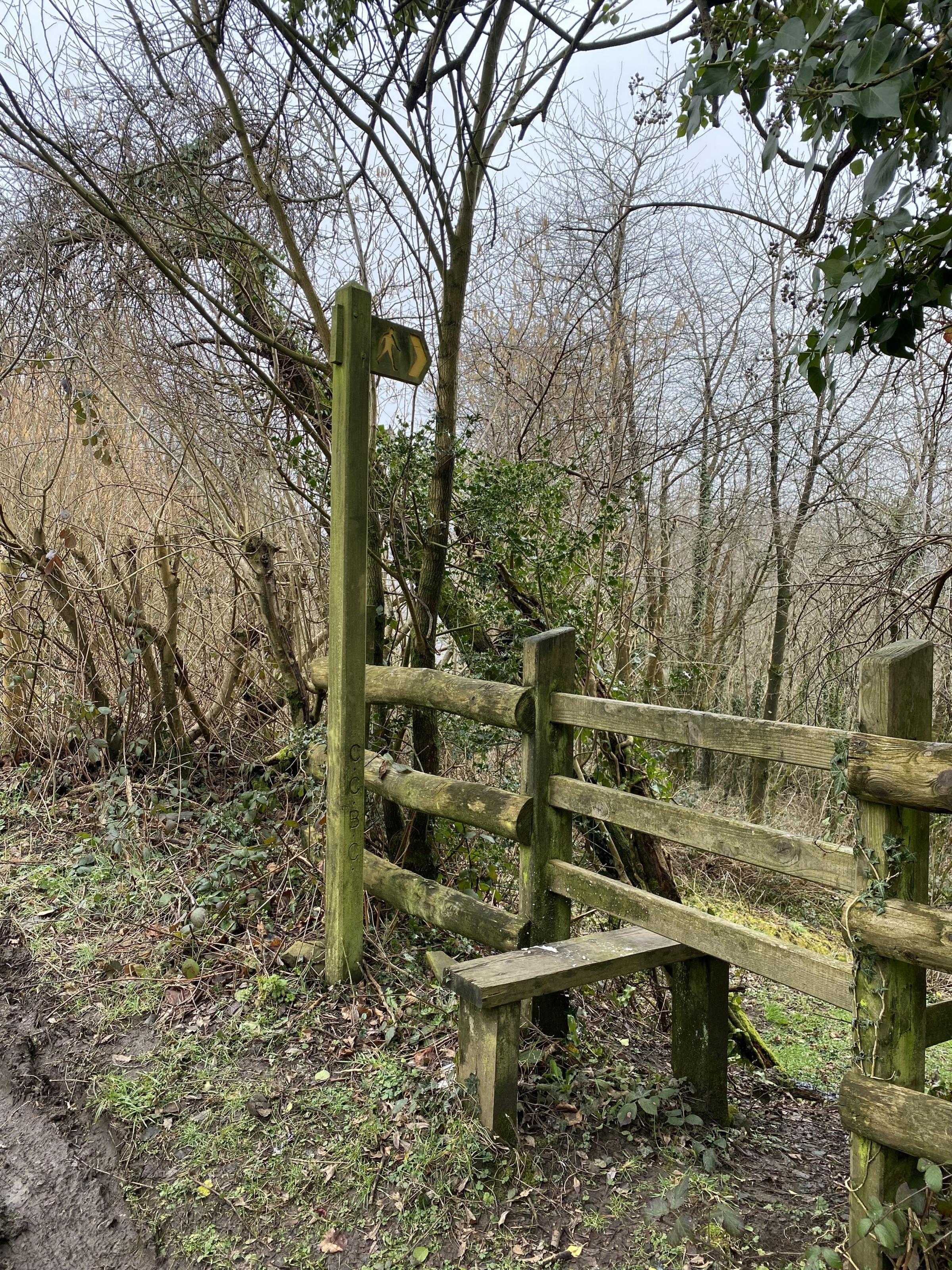 Councillors Urge Caerphilly Council to Test Ty Llwyd Layby for Pcbs
