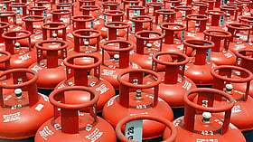 Market Developments: LPG Distribution Chaos in Margherita Deepens as Consumer Handbooks Discarded