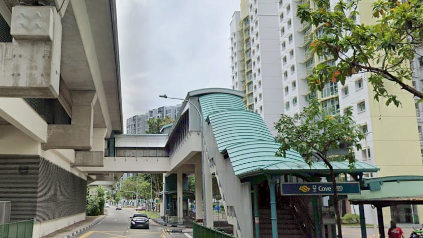Teen Faces Deepening Inquiry Over Allegedly Throwing Bag of Ice Cream Off Cove LRT Platform