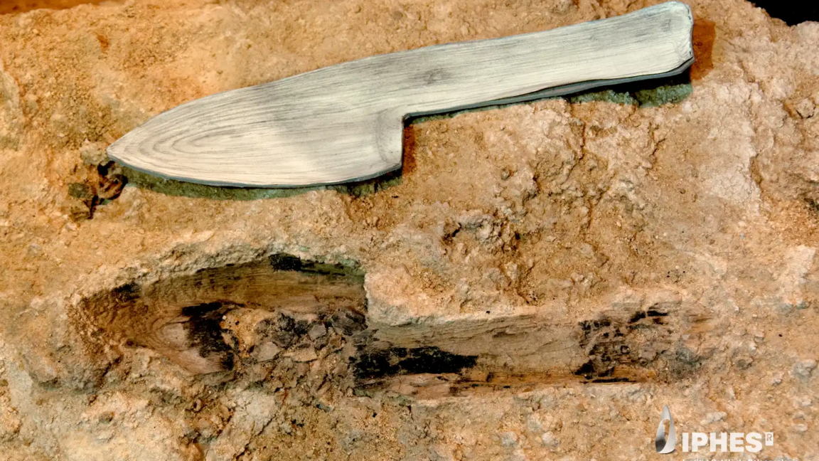 Neanderthal Wooden Tools from Spain Found Preserved in Stone
