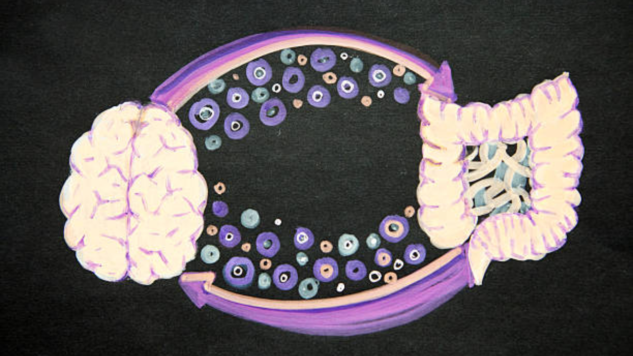 Gut Bacteria May Unveils How Quickly Your Brain Is Ageing, Study Finds in Major Strategic Push