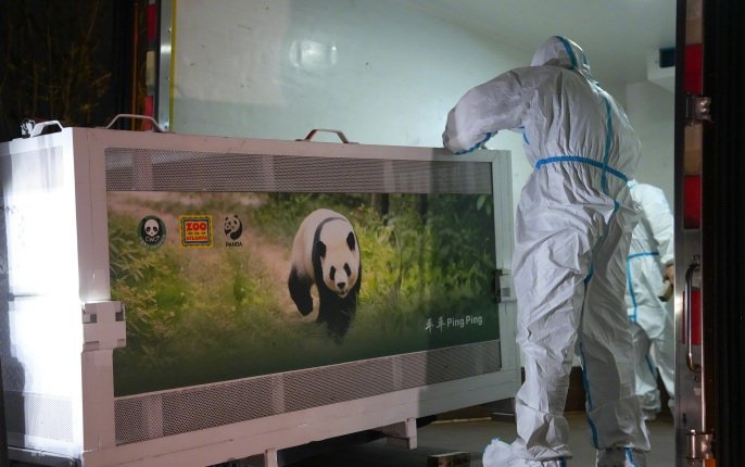 Pair of Chinese giant pandas arrives in US city Atlanta