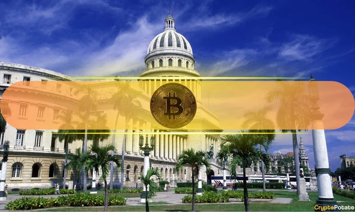 Crypto Markets in Focus: Bitcoin Fell After Four US Midterms: Could 2026 Break the Pattern? Amid Shifting On-Chain Metrics