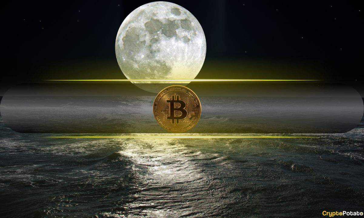 Crypto Markets in Focus: Bitcoin $215K Scenario Emerges as BTC Reclaims Key Market Levels Amid Shifting On-Chain Metrics