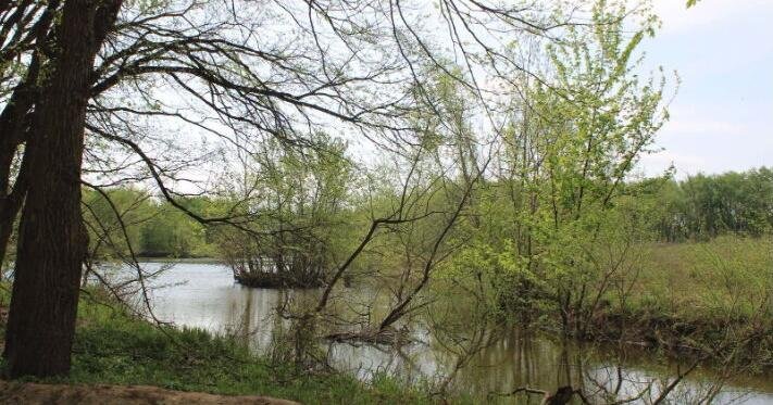 Passport to the Trails: Explore Esker’s Edge!