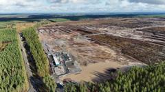 Finland Halts Google Data Centre Construction Over Forest Destruction Fears