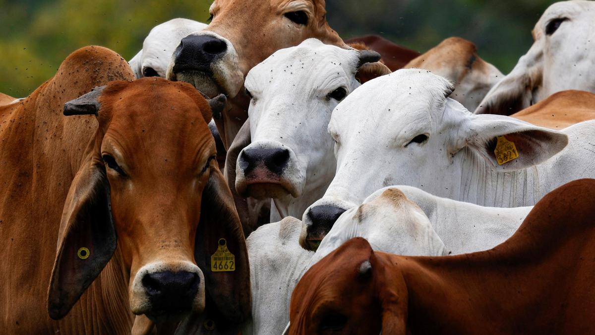 KVASU Hosts Summit to Explore Agripreneurship Opportunities