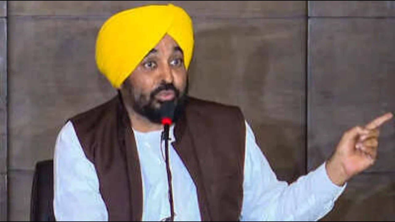 Punjab Govt to Move SC Against CBI Probe Into Mann's OSD Over Graft Claims