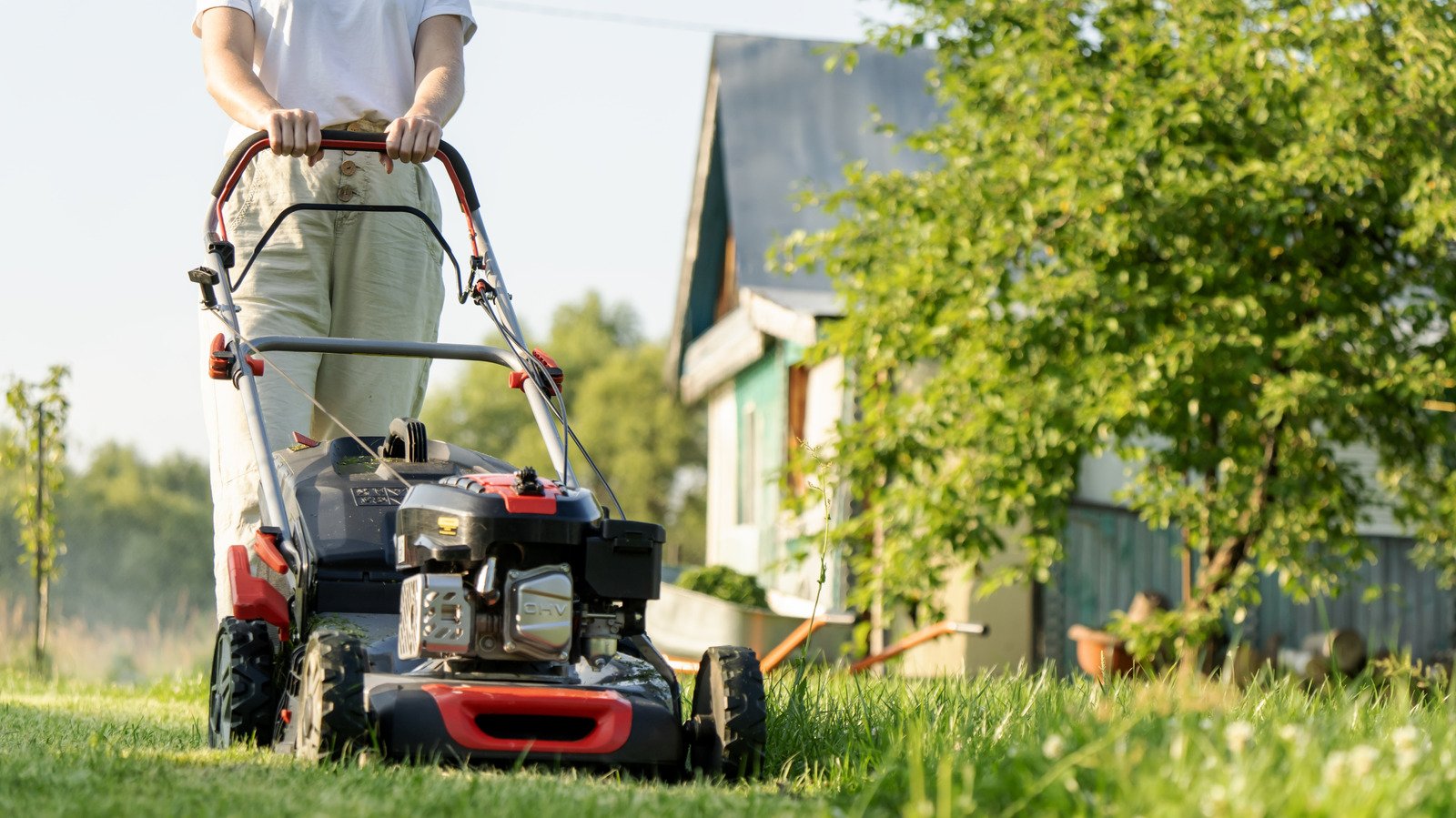 3 Disadvantages Of Self-Propelled Lawn Mowers