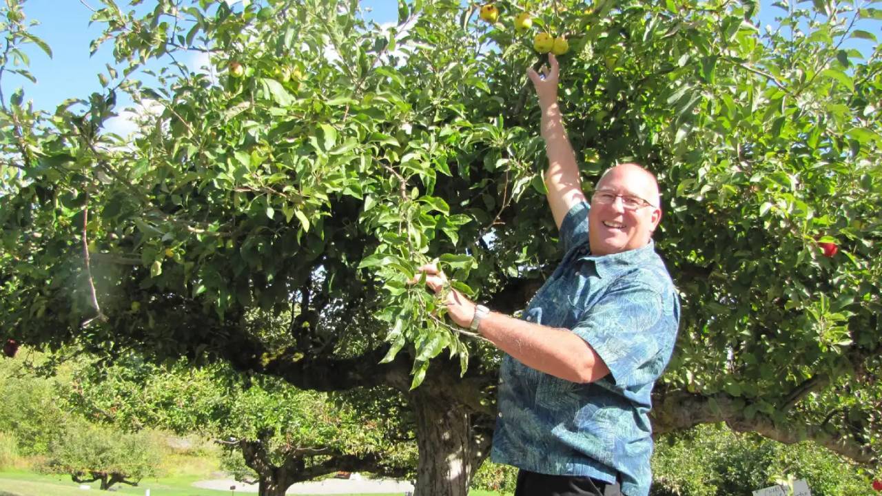 Retired FBI Agent’s Search Helps Rediscover 30 Forgotten Apple Varieties