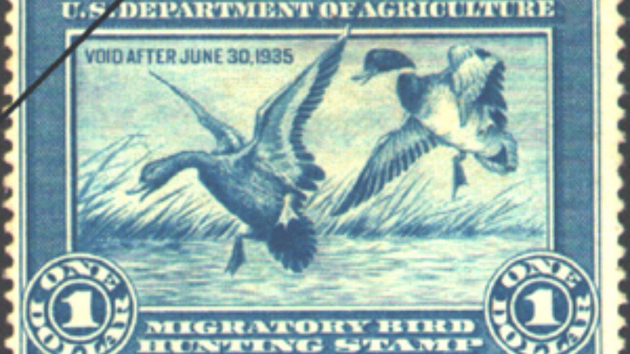 In 1934, America Created a $1 Duck Stamp; It Has Protected 6 Million Acres